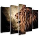 5 stykke lærredsprint, Lion Africa Animal Nature