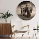 Tableau en alu-Dibond Les éléphants - Rond