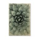 Billede af træ Agave 02