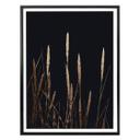 Plakat - Kubistika - Golden Feathers