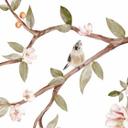 Fotomural naturaleza - rosal con pájaros - Kikki Belle