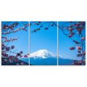 3-delt lærredsprint, Mount Fuji