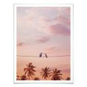 Póster Suelto - Colibríes enamorados