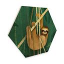 Hexagone - Bois Brun - Paresseux