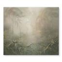 Mystiek regenwoud in de mist - Ms Tiff