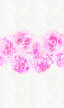 Rose tapet Fototapet på træ Pink,Floral 2.70 x 1.59 m