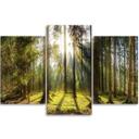 3 stykke lærredsprint, Forest Rays Tree Nature