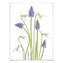 Plakat - Disher - Forårsblomster