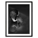Póster Tjandra - Reflejo de pájaro - blanco y negro