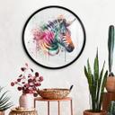 Plakat Heine - Rainbow Zebra