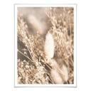 Plakat - Annie - Pumpkin Grass