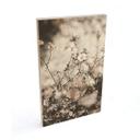 Cuadro de madera Annie - Flores silvestres
