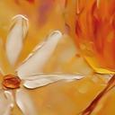 Papel pintado Flor de oro | Papel pintado Flores - Pomata