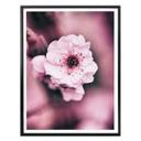 Plakat - Blomsterpragt - detaljer