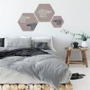 Hexagon - Alu-Dibond zilver effect - Ijsberen