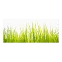 Salpicadero de cocina autoadhesivo High grass