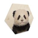 Hexagone - Bois Sisi & Seb - Baby Panda