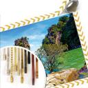 Poster - Khao Ta-Pu Island