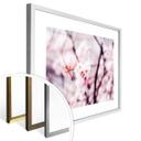 Plakat - Kirsebærblomst 02