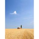 Fototapet Colombo - Toscana - 192x260 cm