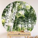 Fototapet - Rundt Sunshine Forest - vliesetapet/selvklæbende non-woven tapet