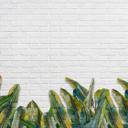 Brick WallOnLeaves tapet i grågrøn - non-woven tapet Designwalls 2 - 2,55 x 3,5 m