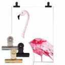Póster Kvilis - Flamenco rosa 02