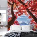 Samejima - Fotomural de hojas rojas - 192x260 cm