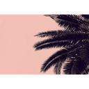 Livingwalls papier peint photo ARTist Palm Tree