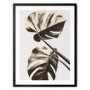 Póster 1X Studio - Golden Monstera