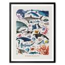 Póster Marrón - Fauna marina