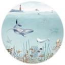 Fototapet - Rundt Kikki Belle - Sea Life - vliesetapet/selvklæbende non-woven tapet