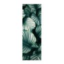 Póster de tela Urban Jungle - Calathea Orbifolia