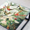Plateau de table en verre - Haeckel - Colibris - Carré