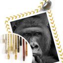 Plakat - Wenner - Gorillaen
