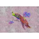 Livingwalls Fototapet Walls by Patel 2 peacock 2