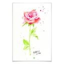 Poster - Buttafly - Rose