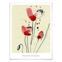 Póster Papaver Rhoeas