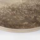 Houten Wanddecoratie pampagras en grassen in beige - Ms Tiff - Rond
