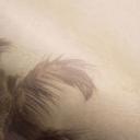 Landskabstapet Big Pictures taupe 4,50 x 2,70 m