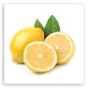 Canvasbillede, citronfrugt