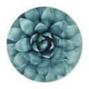 Plakat Agave 02