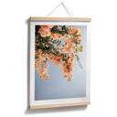 Póster Flores de melocotón en Assos - Fotografía de Clint