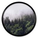 Plakat Foggy Forest