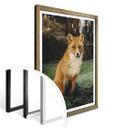 Póster fox 01
