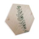 Hexagon Hout - Sisi & Seb - Takje Eucalyptus