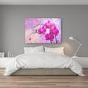 Canvasbillede, Abstrakte lyserøde orkidéblomster