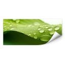 Poster autocollant - W - Nature 3