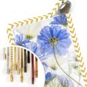 Poster Disher - Azul Congelado