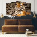 Lærred print 5 styk, Afrika tiger dyr